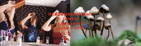 ECSTASY Мегион