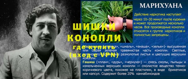 крисы Медвежьегорск