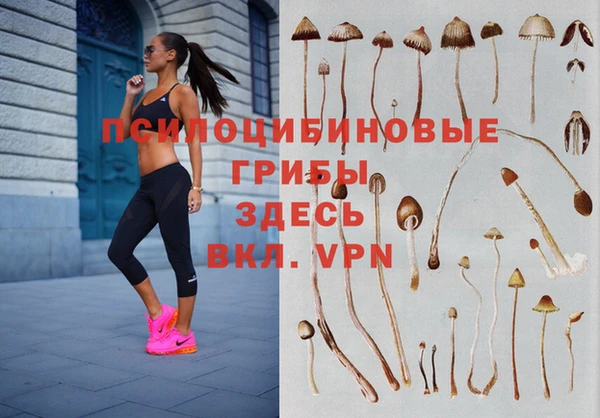 mdpv Медногорск