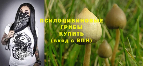 mdpv Медногорск