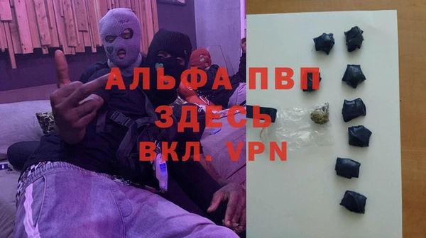 крисы Медвежьегорск