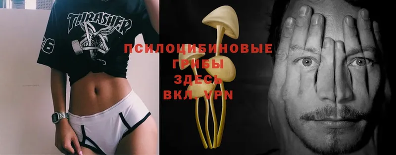 Псилоцибиновые грибы ЛСД  хочу наркоту  Шахунья 
