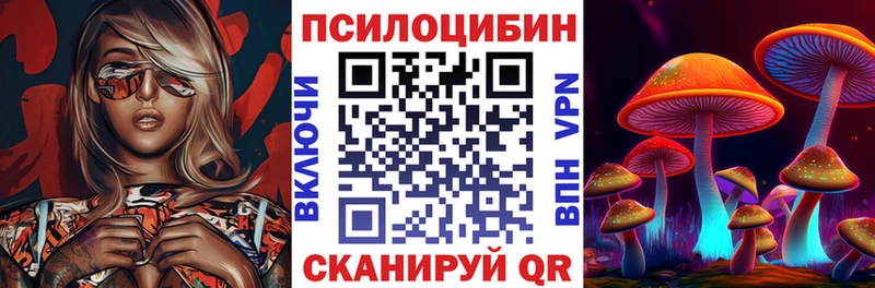 Галлюциногенные грибы GOLDEN TEACHER  купить наркотики цена  Шахунья 