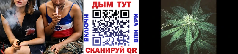 Конопля семена  Шахунья 